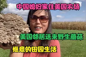 中国媳妇家住美国农场邻居送来野生蘑菇烤箱烤蘑菇田园生活好惬意视频封面