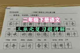 二年级下册语文，三单元复习题讲解，跟着老师做题复习，事半功倍视频封面