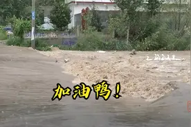 河南南部暴雨水位迅速上涨，鸭子还没来得及上岸就被洪水冲跑了视频封面