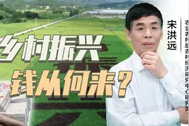 乡村振兴由谁来买单？宋洪远：政策支持，多渠道筹集资金视频封面