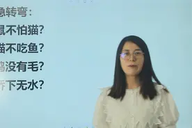 考考你：什么鼠不怕猫，什么猫不吃鱼，什么桥下没有水？