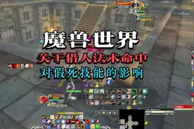 魔兽世界怀旧服：猎人法术命中对于假死的影响视频封面