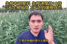 生根专用肥料，生根速度快10倍，3天生根发芽，7天达到爆根状态视频封面