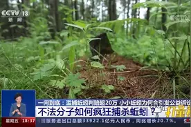 手段残忍！不法分子视频教学，公然兜售“电蚯蚓机”|共同关注视频封面