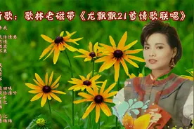 赏花听歌：歌林老磁带《龙飘飘21首情歌联唱》视频封面