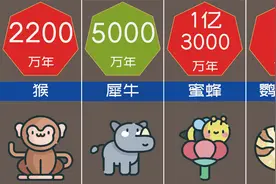 数据比较：各种动物在地球上存在了多久？视频封面
