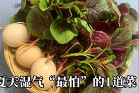 夏天湿气“最怕”的一道菜，每天来一份，湿气全跑光，好吃不贵视频封面