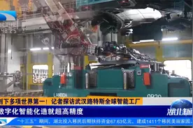 创下多项世界第一！记者探访武汉路特斯全球智能工厂视频封面