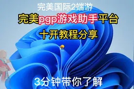 完美Pgp游戏助手十开教程分享视频封面