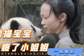熊猫宝宝咬疼了饲养员，小姐姐一脸小嗔怒视频封面