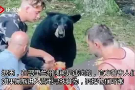 美国一家庭野餐时遇黑熊蹭吃主动喂食被批“白痴”视频封面