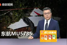 坠毁东航客机为波音737-800 飞机机龄6.8年视频封面