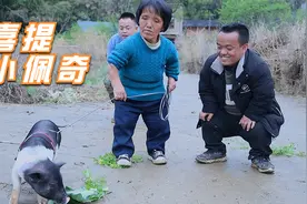要来的小猪遭妈妈嫌弃，大家出出主意，我要怎么处置这头小可爱