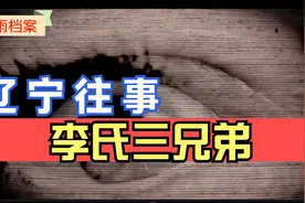 辽宁：李氏三兄弟视频封面