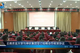 云南农业大学与神农集团签订战略合作框架协议视频封面