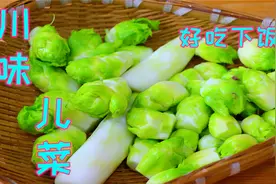四川特色儿菜还是只服这样做，加点腊肉进去，那香味是真叫不一般视频封面