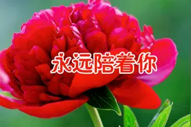 新歌！一首《永远陪着你》一颗痴心永不变，陪你到地老天荒视频封面