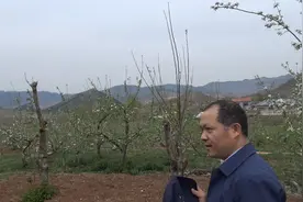 城门对峙，龙虎弯抱，山东一等大地，古人太有福气了视频封面