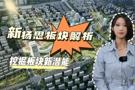 新杨思板块解读，最新规划即将落地！视频封面