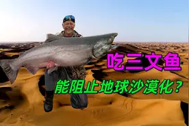 你每吃一口三文鱼，都是在保护地球生态，阻止地球沙漠化视频封面