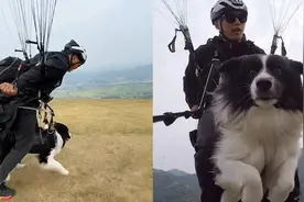 教练带狗狗玩滑翔伞 狗狗空中目瞪口呆四肢僵硬视频封面