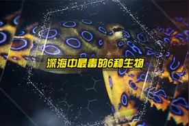 深海中毒性最强的6种生物，超出你的想象！视频封面