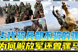 古代骑兵为什么不用骡子？解放军为什么经历了骡马化？视频封面