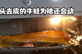 去头去皮的牛蛙为啥还会动视频封面
