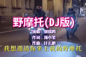 郭镐鸣《野摩托》DJ版，欢快的旋律，动感十足视频封面