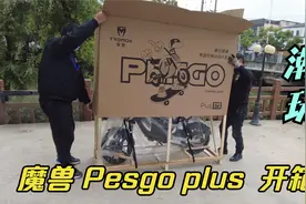 魔兽Pesgo plus开箱，着实惊艳到我了，电动自行车还能有这种形态视频封面
