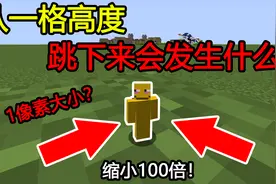 我的世界：缩小100倍，从一格方块跳下来会发生什么？？