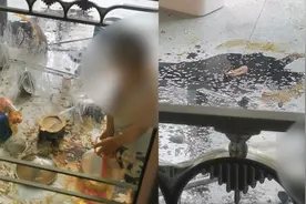 血压拉满！陕西熊孩子大闹厨房，酱油调料洒一地亲妈当场无奈视频封面