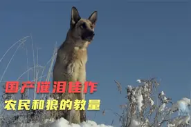催泪电影：男人在雪里发现只小狗，把它带回家看门，不料它是只狼视频封面