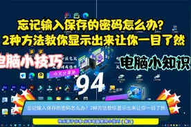 忘记输入保存的密码怎么办？2种方法教你显示出来让你一目了然视频封面