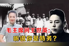毛主席问王世英：听说你是特务？王世英说：等过十年后再看吧视频封面