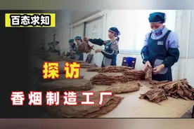 揭秘工厂：香烟制造全过程，看自己是否有能力自制香烟？视频封面