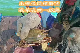 广东海岛出海捕鱼，几十条大虾值两三百元，现煮现吃鲜到飞起视频封面