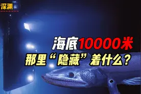 全球海洋最深处藏着哪些生物，它们在万米深海中如何存活？视频封面