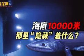 全球海洋最深处藏着哪些生物，它们在万米深海中如何存活？视频封面