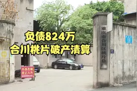 负债824万 合川桃片破产清算视频封面