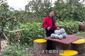 广西女子野居深山，冬瓜大丰收，种一颗能吃上一个冬天，想吃送你视频封面