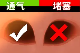 感冒鼻塞时，为什么鼻孔总是一边通气一边不通气？视频封面