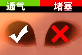 感冒鼻塞时，为什么鼻孔总是一边通气一边不通气？视频封面