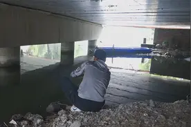 桥洞翘嘴怎么钓？看看小伙如何找到标点，使用什么饵连竿视频封面