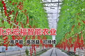 北京宏福 国人自己的“智能农业”温室  再也不眼馋老外的温室了视频封面