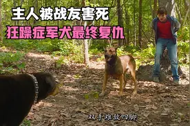 军犬主人被队友害死，患上战后狂躁症，最终为主人复仇！视频封面