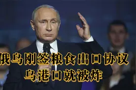 俄乌刚签粮食出口协议，乌港口就被炸，俄方回应值得关注视频封面