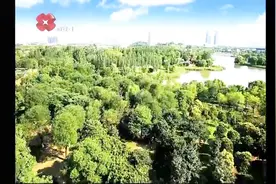 国际港务区加强重点工作部署，以区域征地拆迁全面清零为目标视频封面