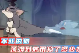 猫有九条命，汤姆用掉了多少条命？