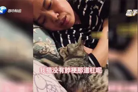 猫咪走丢后，妈妈找回两只猫，网友：这长得也太不一样了吧视频封面